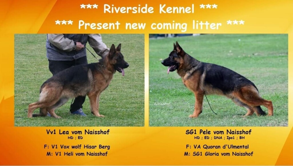 Opposite of Gradual: A Complete Guide to Sudden and Rapid Changes in Language and Usage visual data 3